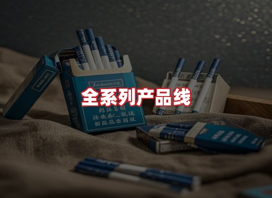专业团队